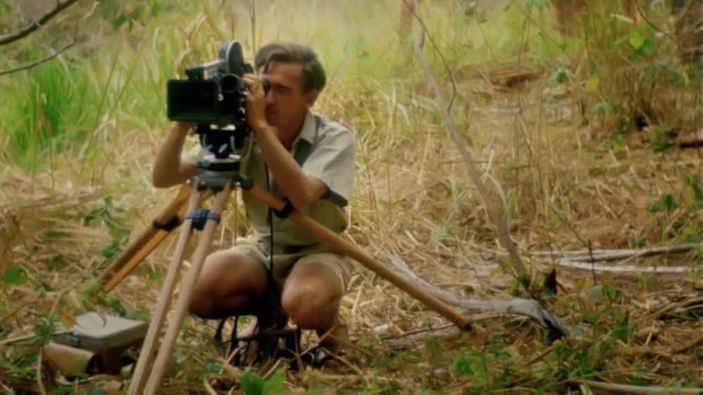 ジェーン・グドールの軌跡の画像