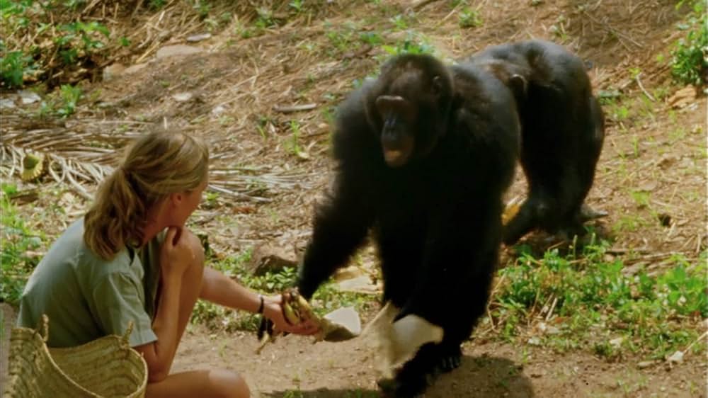 ジェーン・グドールの軌跡の画像