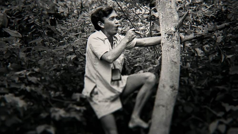 ジェーン・グドールの軌跡の画像