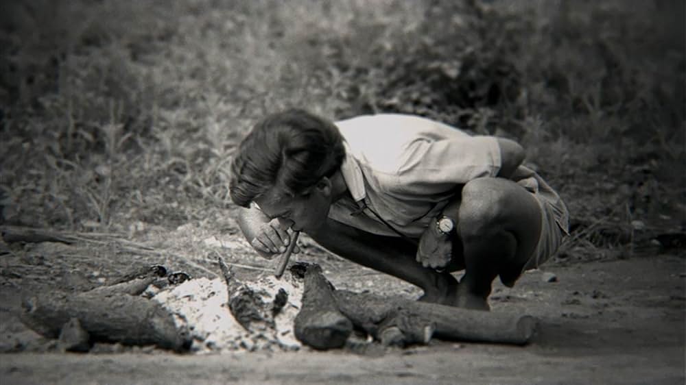 ジェーン・グドールの軌跡の画像