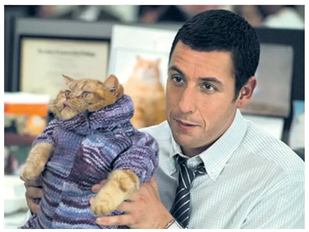 N.Y.式ハッピー・セラピーの画像