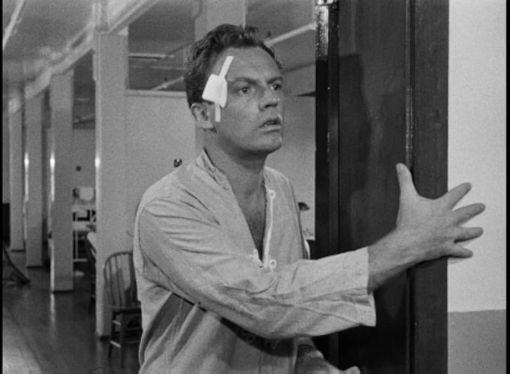 Bright Victory（原題）の画像