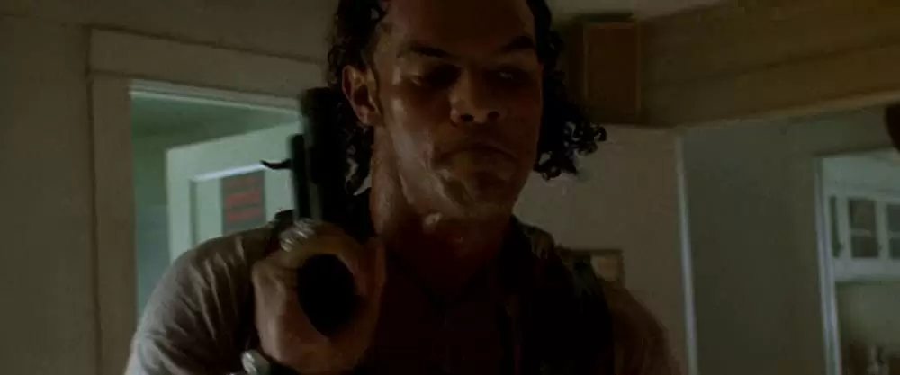 「ハートブルー」Vincent Klynの画像