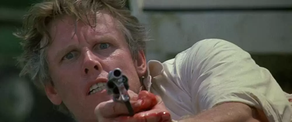 「ハートブルー」ゲイリー・ビューシイの画像