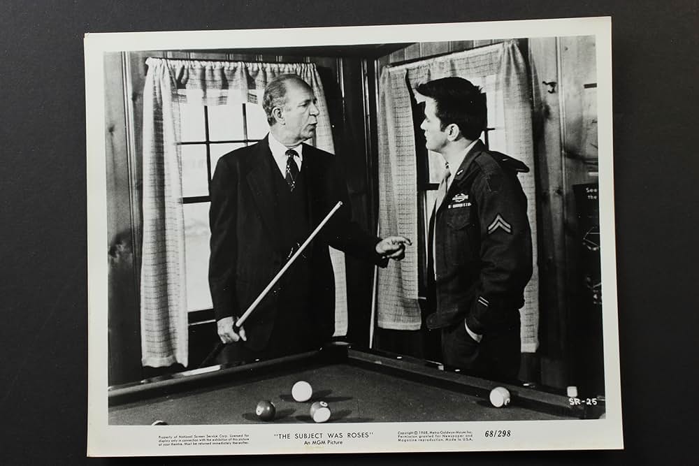 The Subject Was Roses（原題）の画像