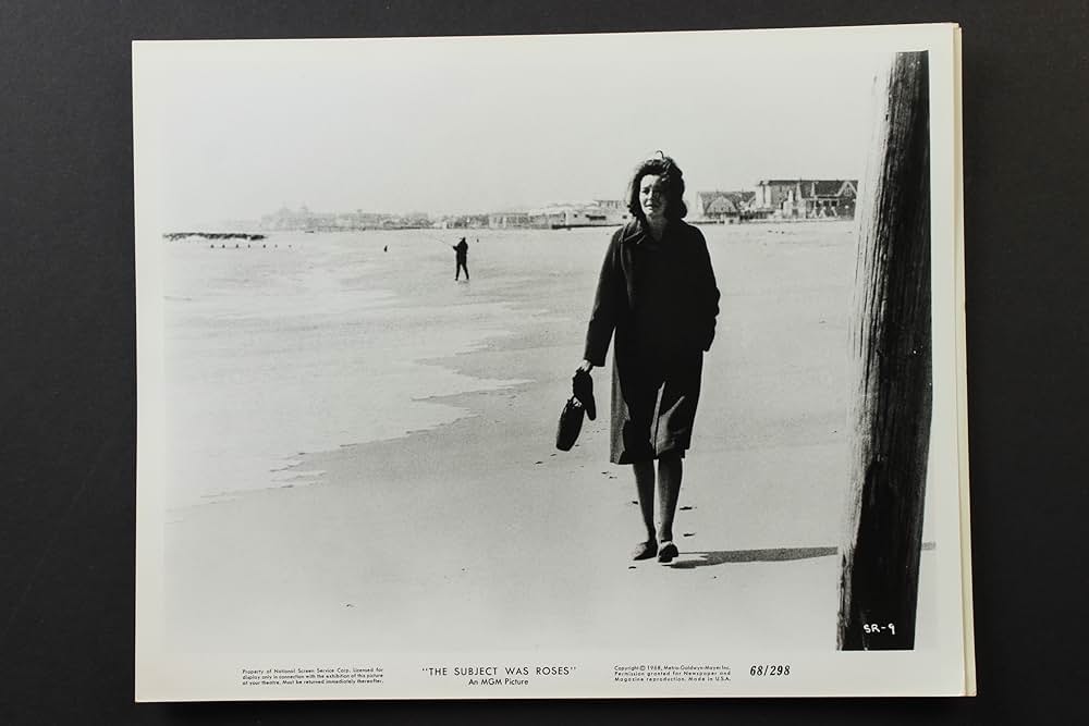 The Subject Was Roses（原題）の画像