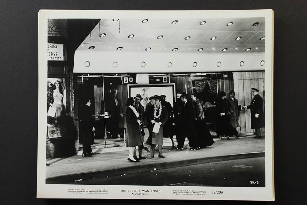 The Subject Was Roses（原題）の画像