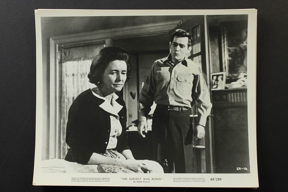 The Subject Was Roses（原題）の画像