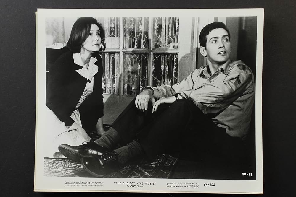 The Subject Was Roses（原題）の画像