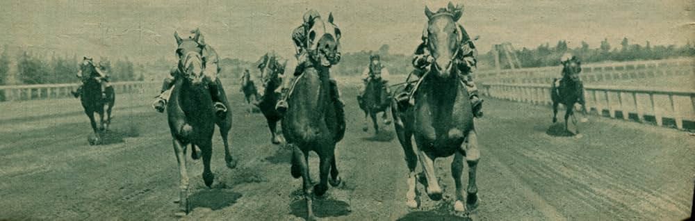 Kentucky（原題）の画像