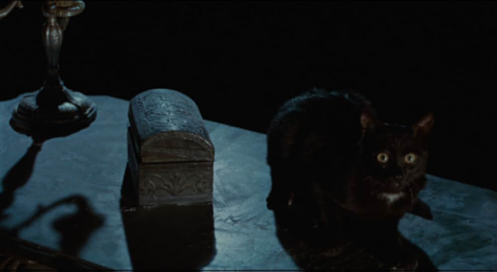 ヒッチコック博士の恐ろしい秘密の画像