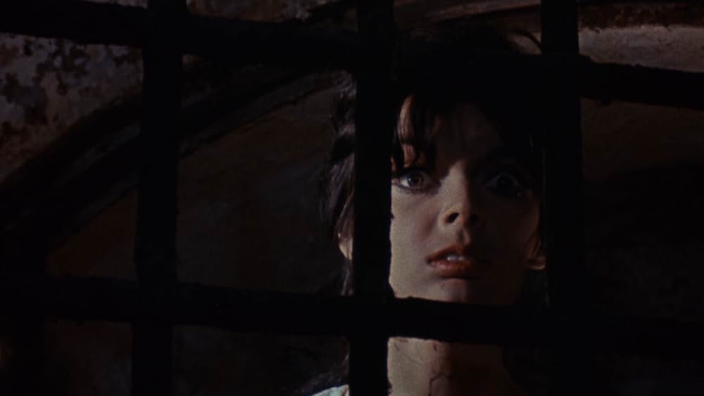 ヒッチコック博士の恐ろしい秘密の画像