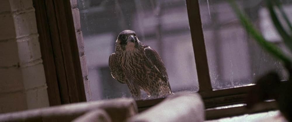 ボーン・コレクターの画像