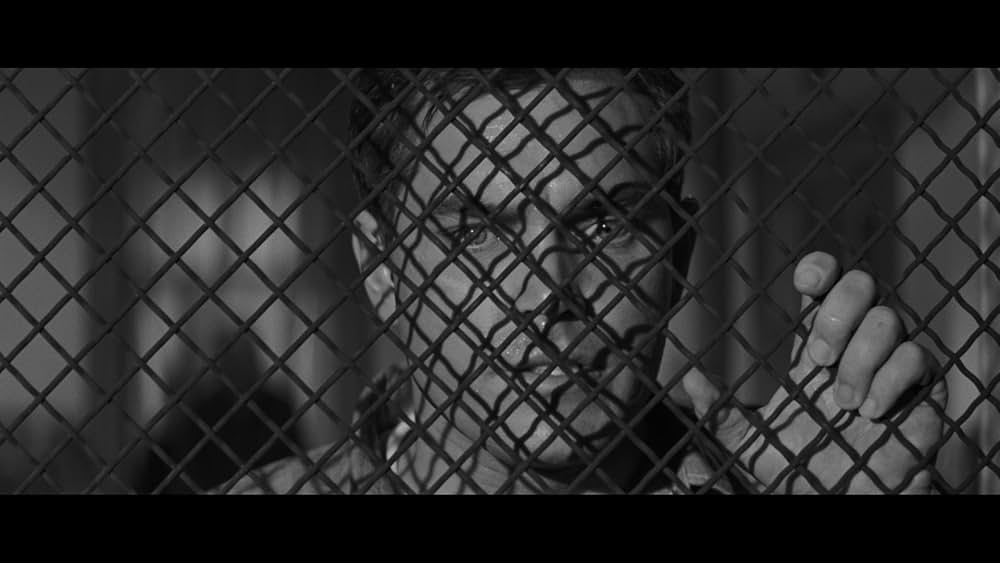 Brainstorm（原題）の画像