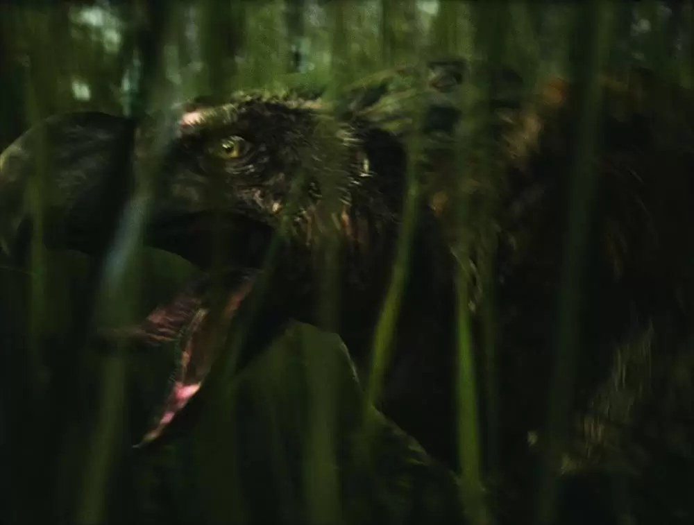 紀元前1万年の画像