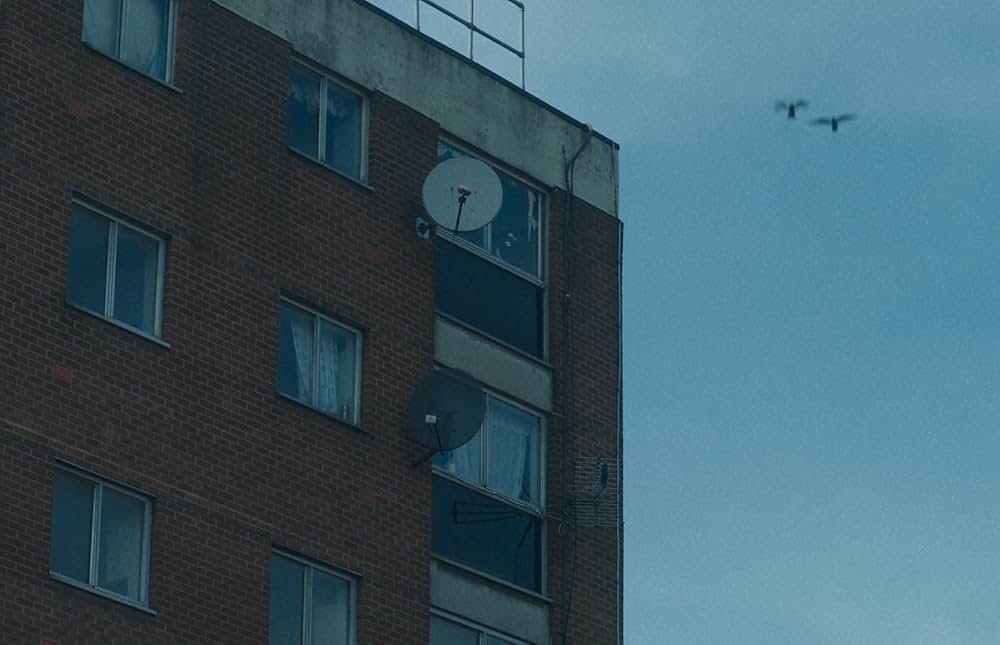 County Lines（原題）の画像