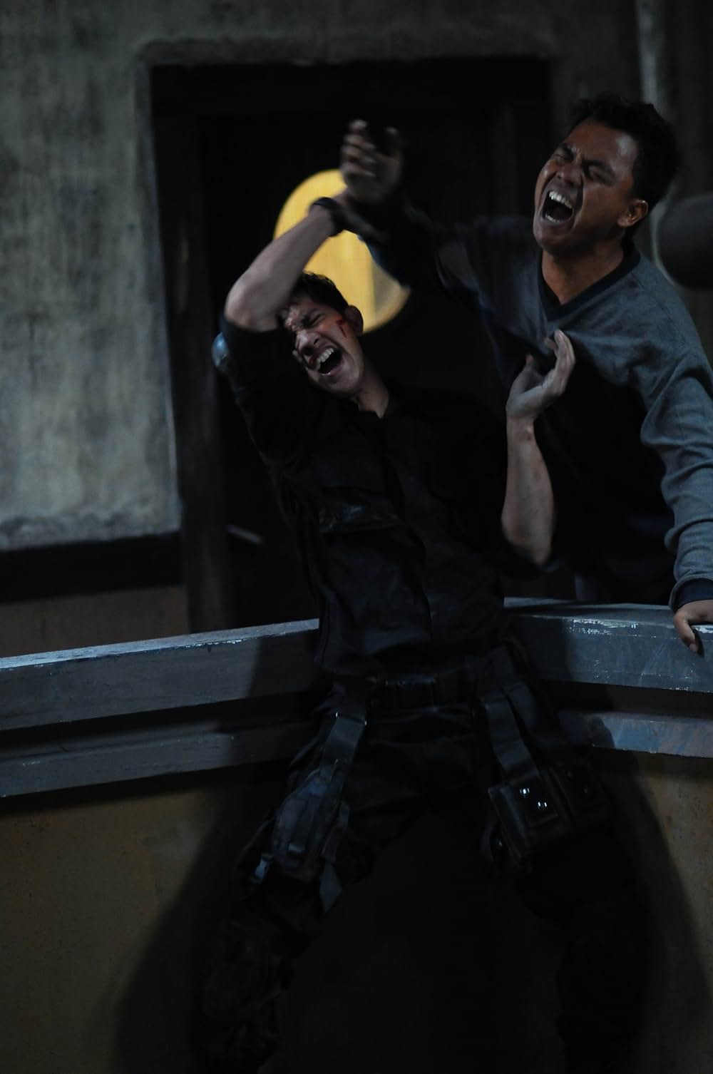 ザ・レイドの画像