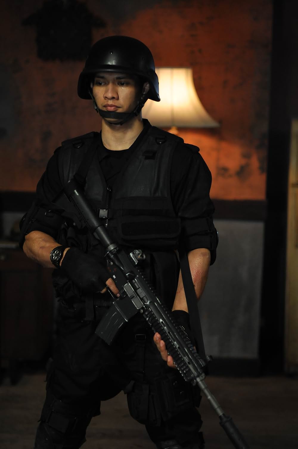 ザ・レイドの画像