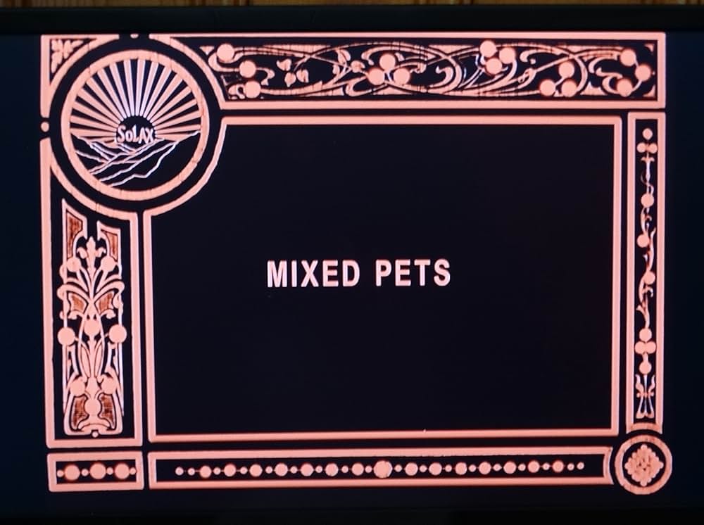 Mixed Pets（原題）の写真