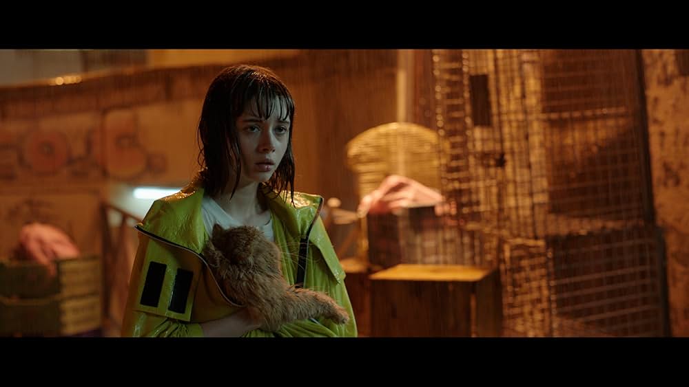 「ジュピター・レイン」の画像