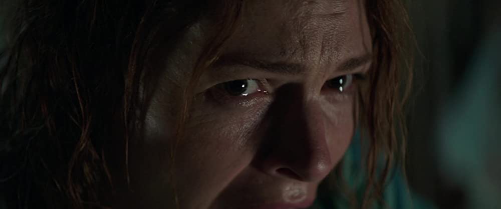 ペット・セメタリーの画像