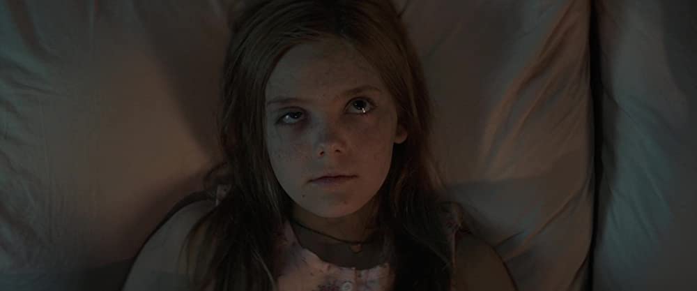 ペット・セメタリーの画像