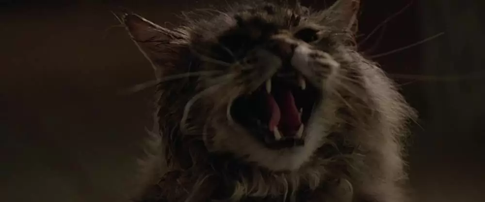 ペット・セメタリーの画像