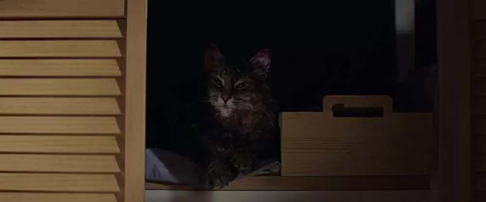 ペット・セメタリーの画像