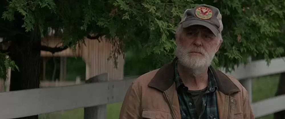 ペット・セメタリーの画像