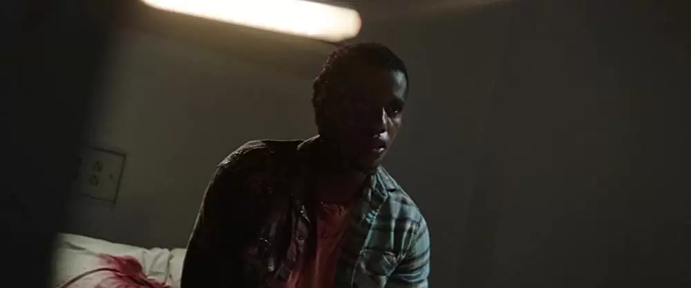 ペット・セメタリーの画像