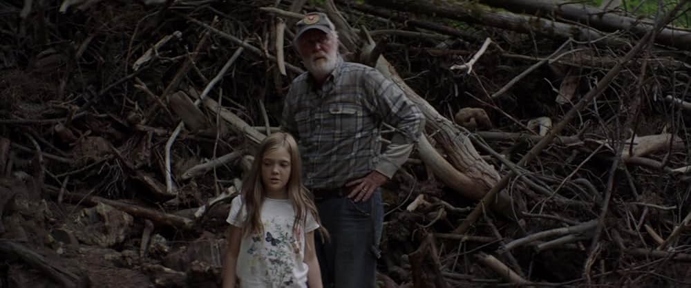 ペット・セメタリーの画像