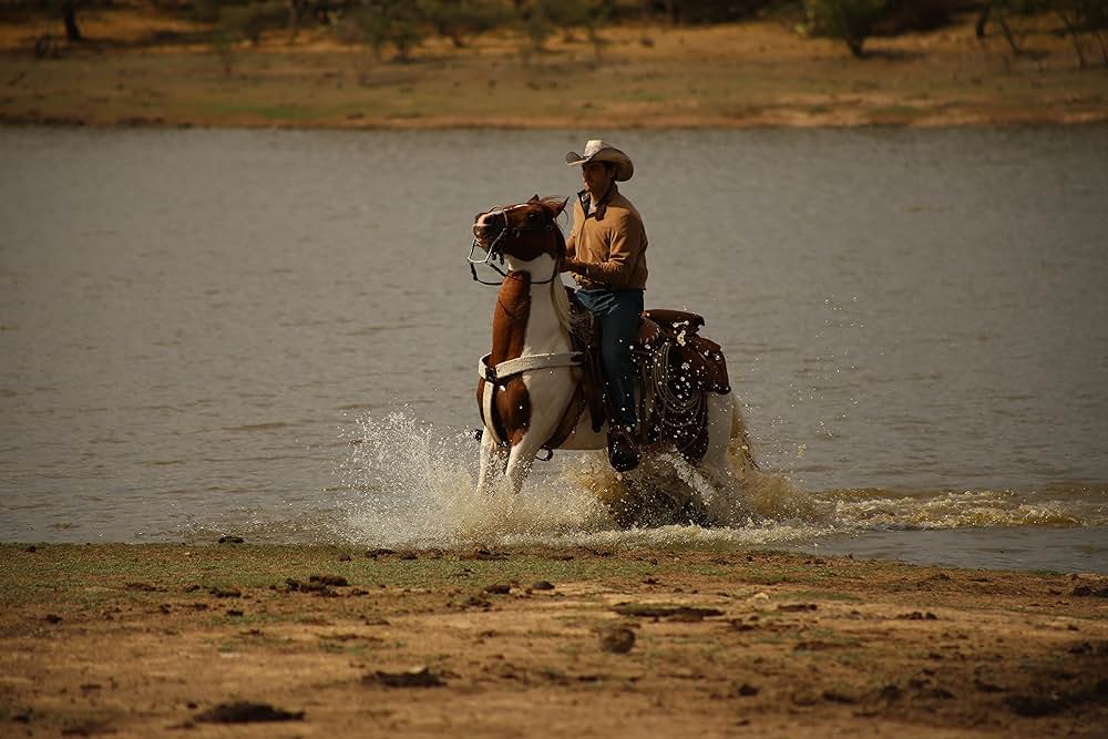 No Man's Land（原題）の画像