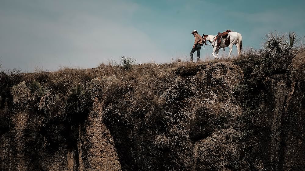 No Man's Land（原題）の画像
