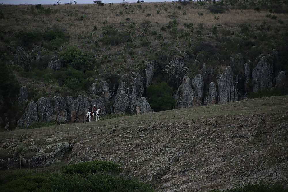 No Man's Land（原題）の画像