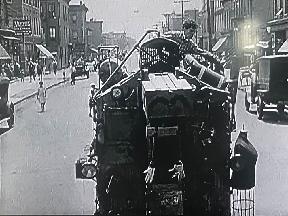 A Wild Roomer（原題）の画像