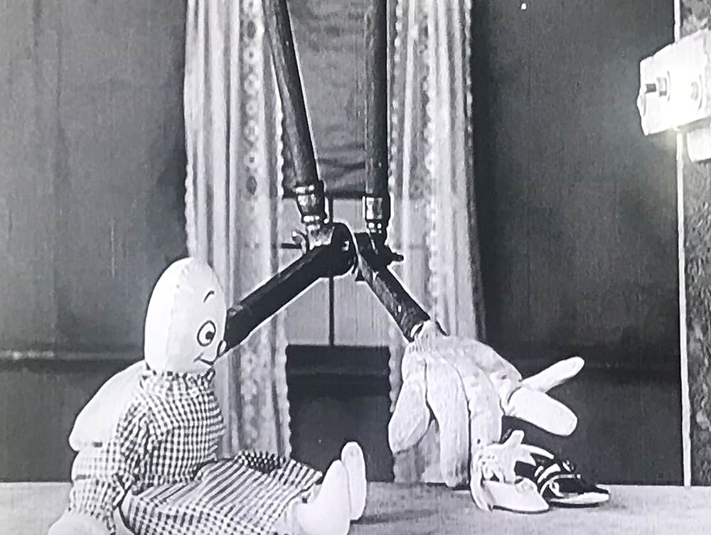 A Wild Roomer（原題）の画像