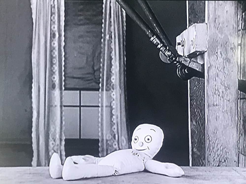 A Wild Roomer（原題）の画像