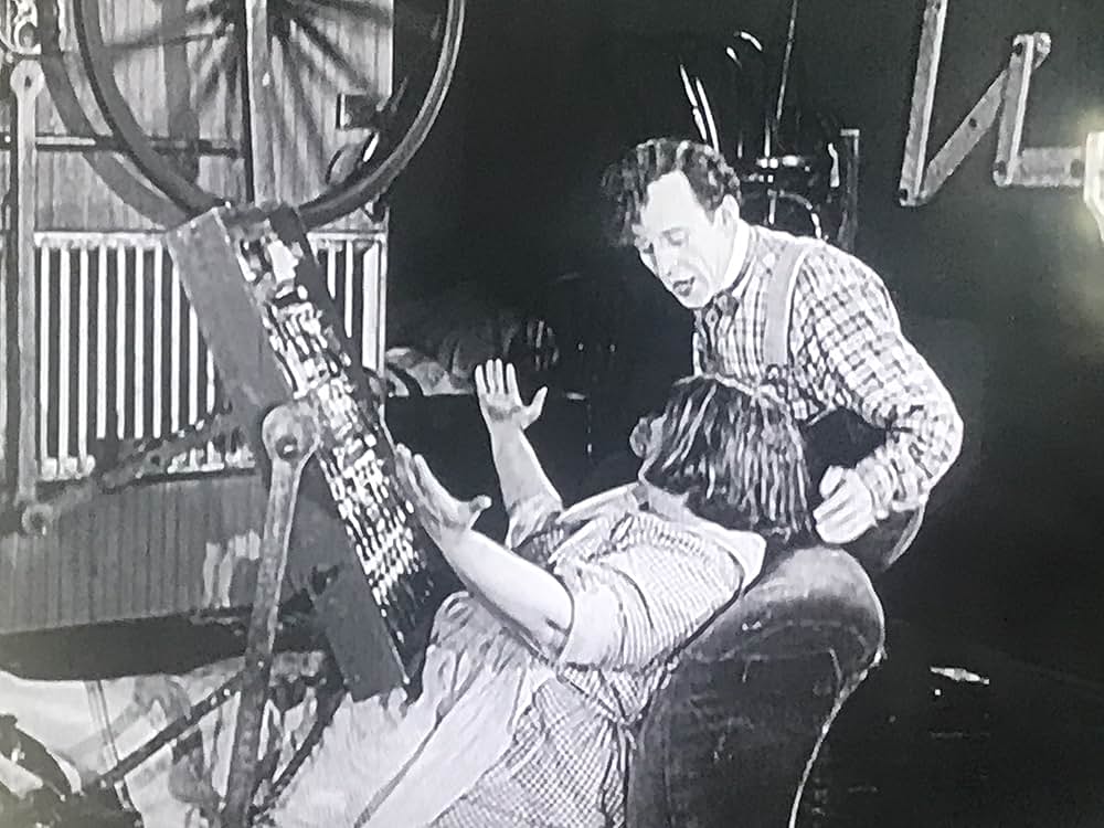 A Wild Roomer（原題）の画像