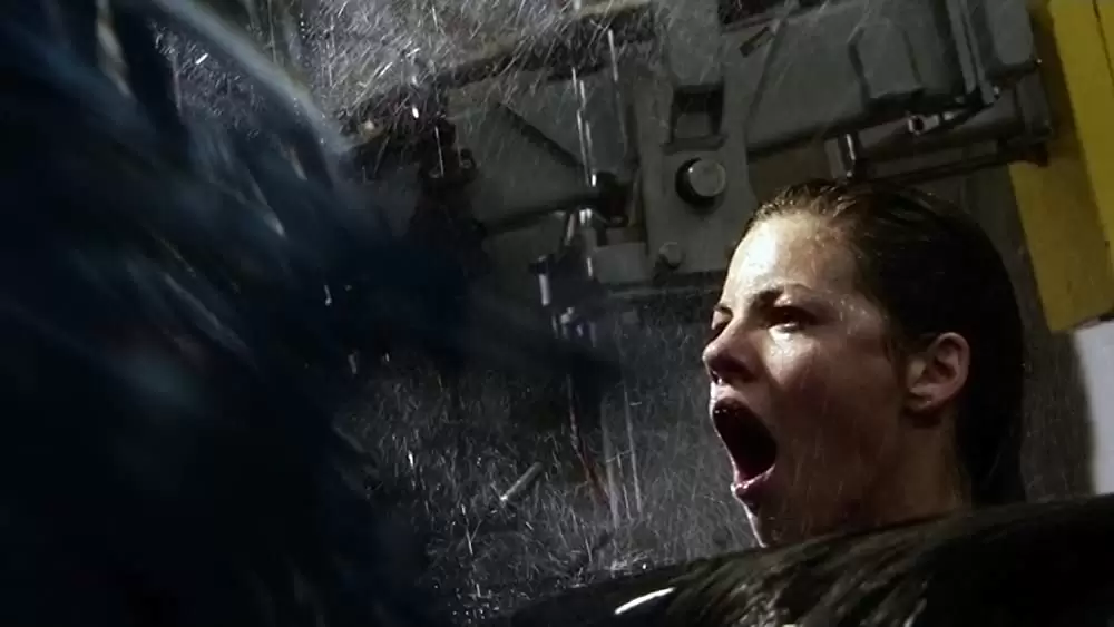 「ファイナル・デッドサーキット 3D」ヘイリー・ウェブの画像