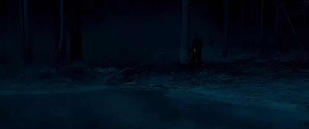 欲望のバージニアの画像