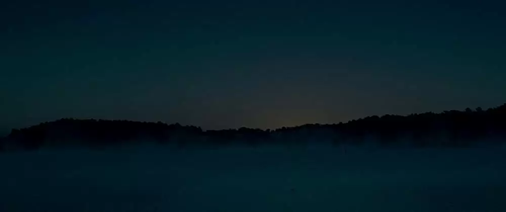 欲望のバージニアの画像