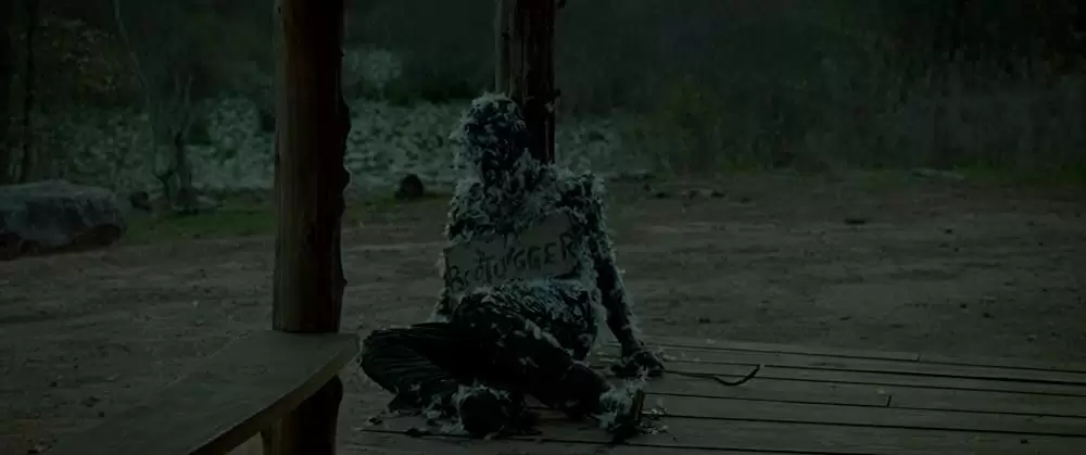 欲望のバージニアの画像