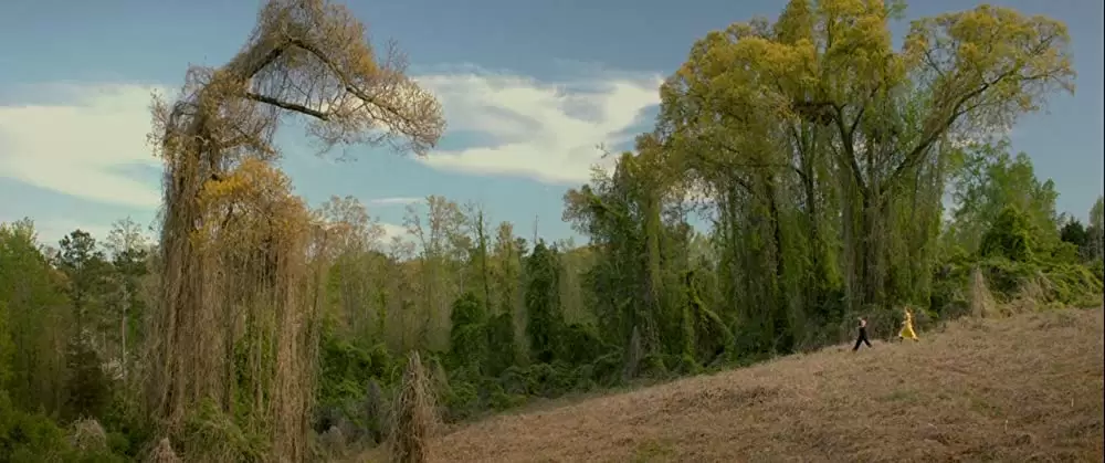 欲望のバージニアの画像