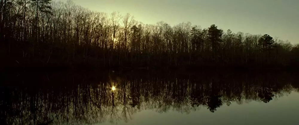 欲望のバージニアの画像