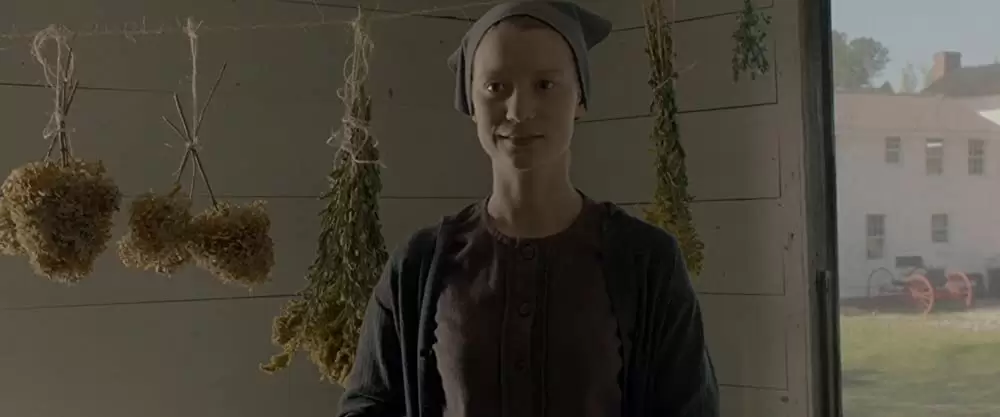 「欲望のバージニア」ミア・ワシコウスカの画像