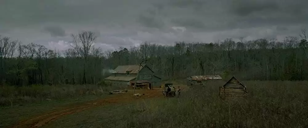 欲望のバージニアの画像