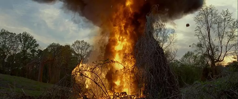 欲望のバージニアの画像