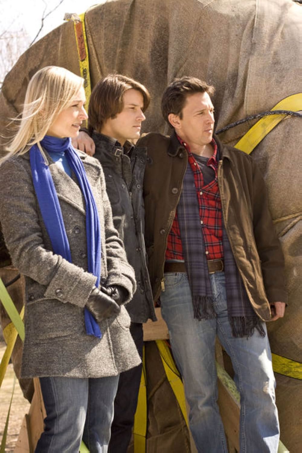 The National Tree（原題）の画像