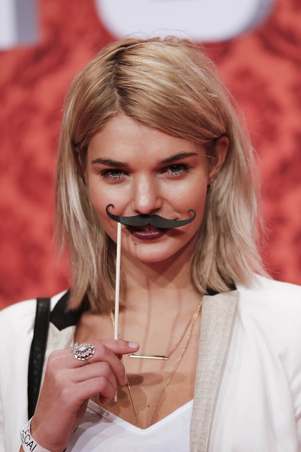 チャーリー・モルデカイ 華麗なる名画の秘密の画像