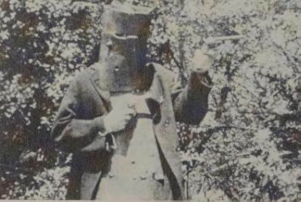 The Story of the Kelly Gang（原題）の画像